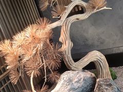 -百富源·海鲜辽菜(浑河堡店)