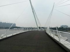 -映月湖中央公园