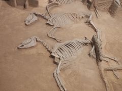 -洛阳周王城天子驾六博物馆