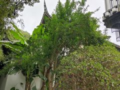 -花溪公园