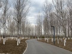 -东郊湿地公园