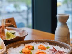 -月龍吟(朝龙汇店)