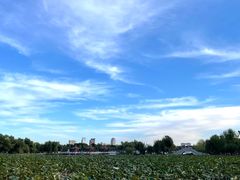 -长春市南湖公园