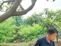 -桃源山庄·水蜜桃采摘·柴火鸡·烧烤团建(龙泉山店)