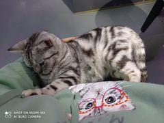 -极木²邸 人与宠物·互动社区