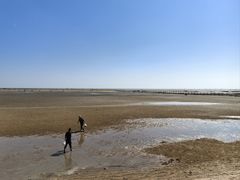 -刘家湾赶海园