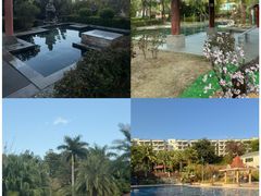 -罗浮山嘉宝田森林温泉度假酒店