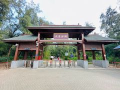 -大京沙滩
