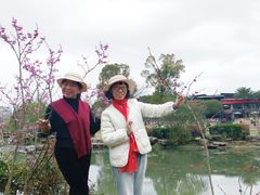 -桃花岭景区