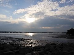 -宝安西湾红树林湿地公园