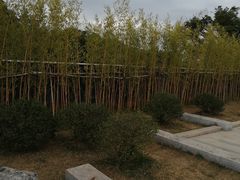 -牛岗山公园