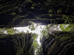 -梭布垭石林景区