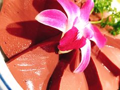 -大红袍火锅料理(尖沙咀店)