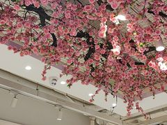 -小桃红·东北菜·春饼烤鸭(南阳湖街店)