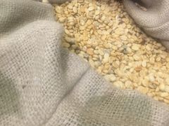 -百年朱苦拉咖啡(博物馆店)