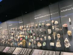 -美国自然历史博物馆