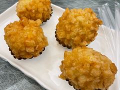 -丁老爷子苏香圆
