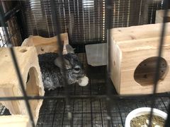 -百盛(莘庄店)