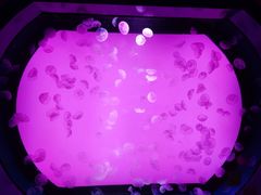 -沈阳海洋探索中心