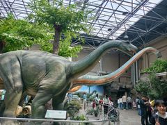 -国家自然博物馆