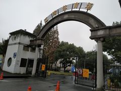 -江湾体育中心游泳馆