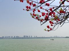 -无锡蠡湖国家湿地公园-蠡园