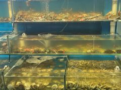 -仙螺岛海鲜自助餐厅(总店)