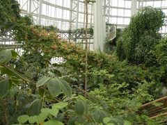 -郑州植物园