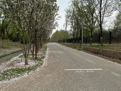 -永定河休闲森林公园