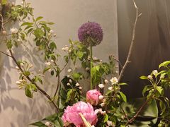 -蘇锦宴·淮扬菜烤鸭·小院(三元桥霄云路店)