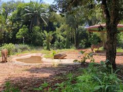 -海南热带野生动植物园