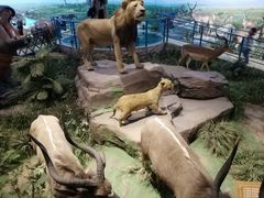 -陕西自然博物馆