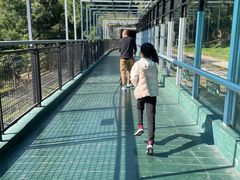 -深圳野生动物园
