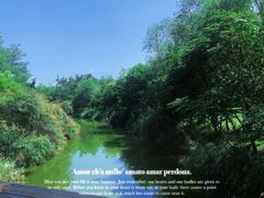 -塘沽森林公园
