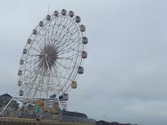 -奉贤海滩