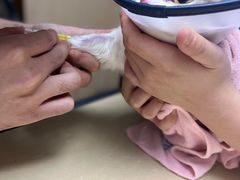 -宠颐生宠物医院外科·内科·皮肤科·影像科(石龙店)