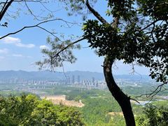 -大奇山国家森林公园