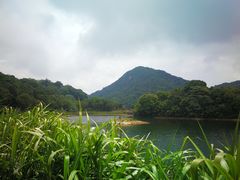 -广州市石门国家森林公园