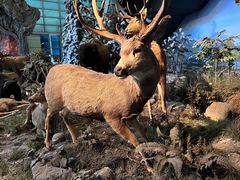 -上海科技馆(地铁站)