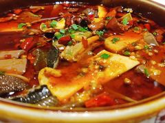 渝信毛血旺-渝信川菜(华盛店)
