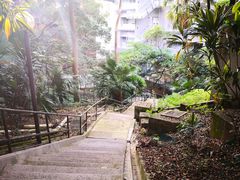 -香港大学
