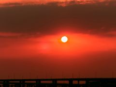 -宝安西湾红树林湿地公园