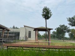 -石家庄市动物园