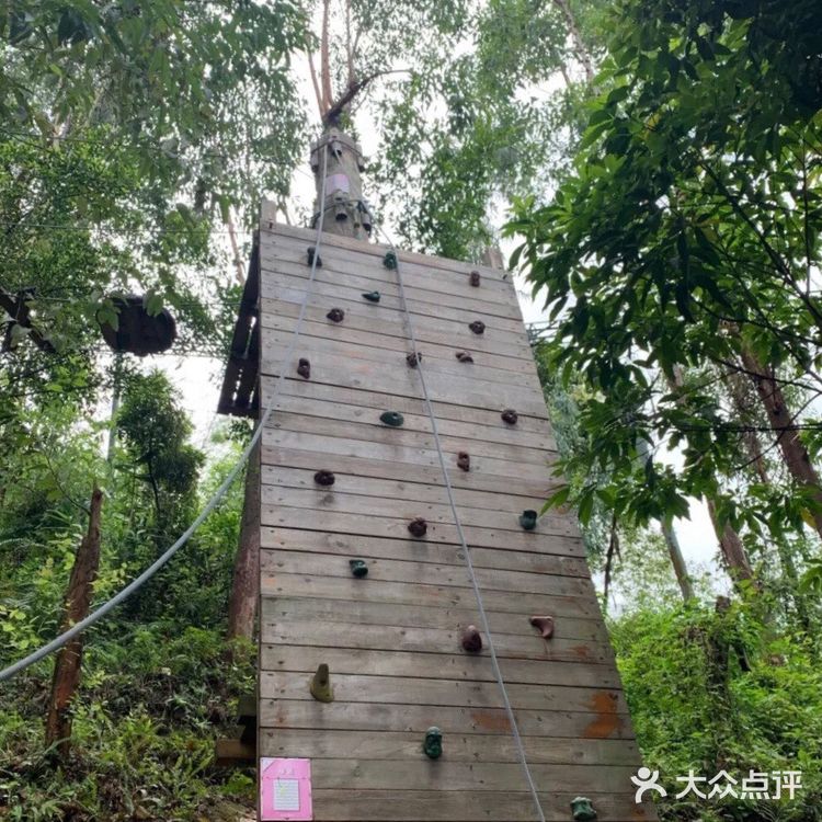 👍🏻解锁户外探险儿童乐园|来一次说走就走的探险之旅吧❗️