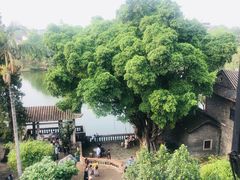 -东莞市可园博物馆