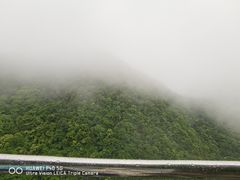 -千岛湖石林