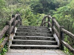 -姑婆山旅游区