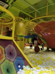 点击看大图 -宝燕乐园(闵行旗舰店)