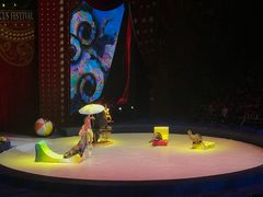 -珠海横琴长隆《卡卡虎奇遇记》