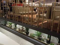 -金香匯晚茶(浑南店)